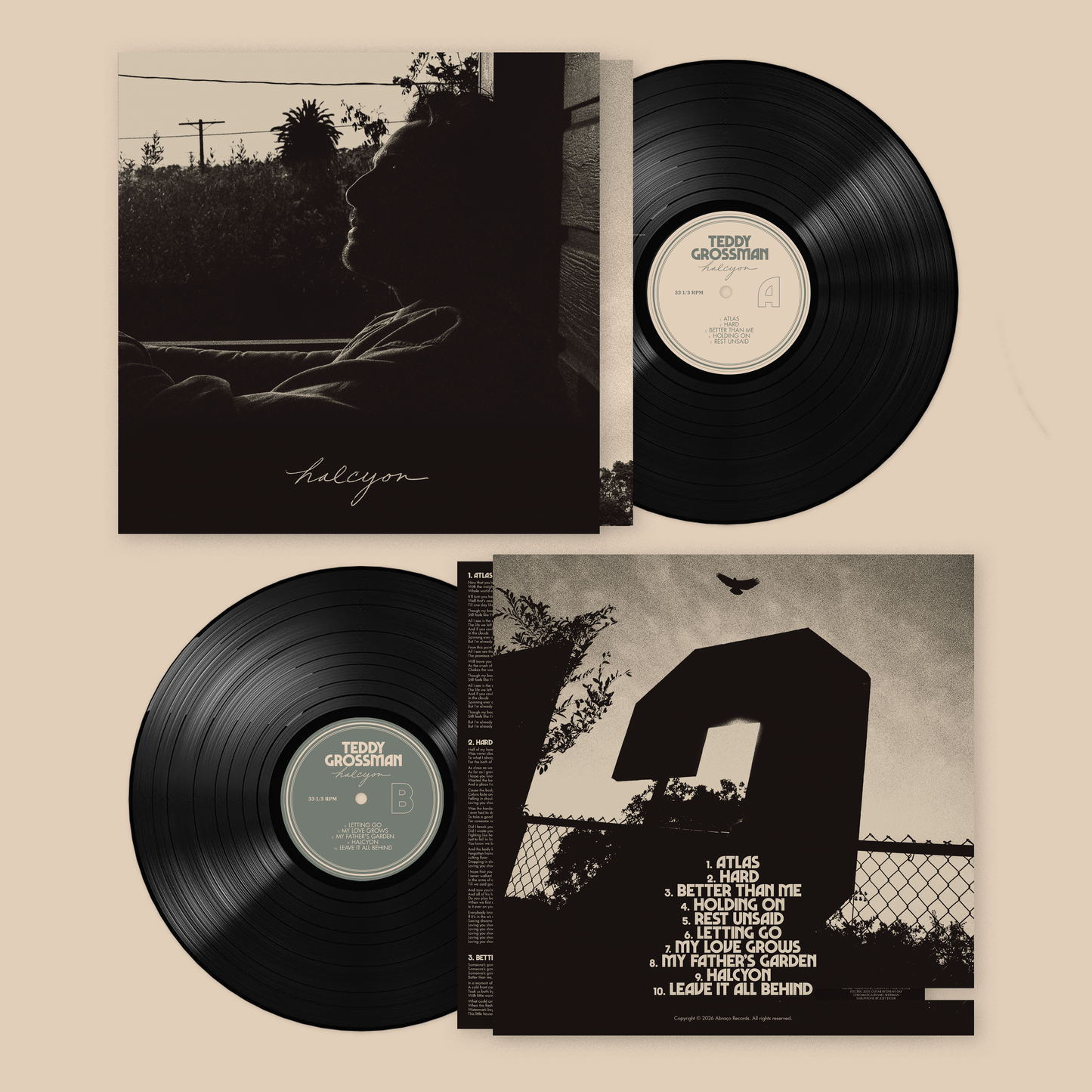 HALCYON (LP2) // First Pressing 12" Vinyl
